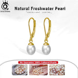 14K 925 Silver Dangle Pearl Earrings Natural Baroque Pearl for Women