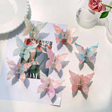 Acetic Acid Plate Double Layer Butterfly Clasp Hair Claw Clip