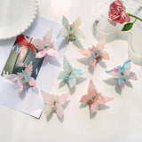 Acetic Acid Plate Double Layer Butterfly Clasp Hair Claw Clip