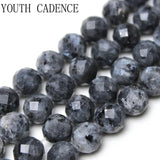 Faceted Lab. Labradorite Round Beads 8mm