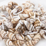 Small Conch Beads 20/40/60/80g Natural Sea Snail Beads For DIY Jewelry