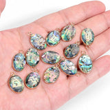 Abalone Shell Drop Pendants 12 Constellation Charms