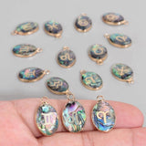 Abalone Shell Drop Pendants 12 Constellation Charms