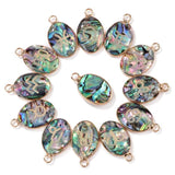Abalone Shell Drop Pendants 12 Constellation Charms