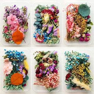 Dried Flowers for Party Decoration Epoxy Resin Real Dry Plant