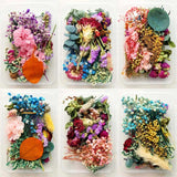 Dried Flowers for Party Decoration Epoxy Resin Real Dry Plant