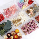 Dried Flowers for Party Decoration Epoxy Resin Real Dry Plant