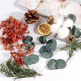 Dried Flowers for Party Decoration Epoxy Resin Real Dry Plant