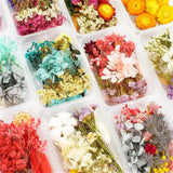 Dried Flowers for Party Decoration Epoxy Resin Real Dry Plant