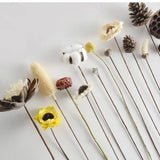 Natural Lotus Cotton DIY Dried Flower Party Home Decoration Accessories