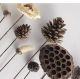 Natural Lotus Cotton DIY Dried Flower Party Home Decoration Accessories