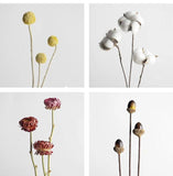 Natural Lotus Cotton DIY Dried Flower Party Home Decoration Accessories