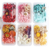 Dried Flowers DIY Photo Frame Kit With Epoxy Resin - Christmas Decoration