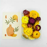 Dried Flowers for Aromatherapy Candle Resin Jewelry Making