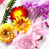 Dried Flowers for Aromatherapy Candle Resin Jewelry Making