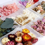 Dried Flowers for Aromatherapy Candle Resin Jewelry Making