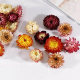 Dried Flowers for Aromatherapy Candle Resin Jewelry Making