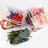 Dried Flowers for Aromatherapy Candle Resin Jewelry Making