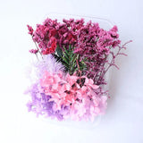Natural Dried Flower Petal for DIY Mobile Phone Case Candle Crafts