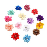 20pcs Silk Ribbon Flower Head DIY Sewing Clothing Shoes Hats Accessories