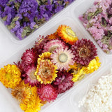 Dried Flowers for Candle Mold Epoxy Resin DIY Decoration