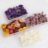 Dried Flowers for Candle Mold Epoxy Resin DIY Decoration