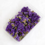 Dried Flowers for Candle Mold Epoxy Resin DIY Decoration