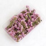 Dried Flowers for Candle Mold Epoxy Resin DIY Decoration