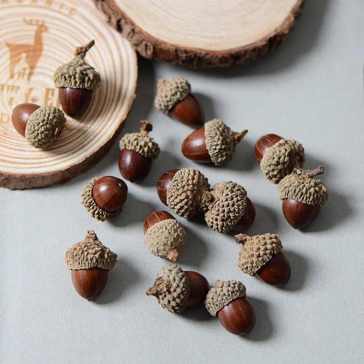 20pcs Natural Dried Flowers Nuts Real Acorns Wedding Party Home Decor DIY Box