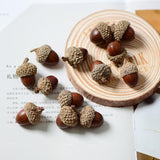 20pcs Natural Dried Flowers Nuts Real Acorns Wedding Party Home Decor DIY Box