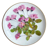 12pcs Natural Begonia Dried Pressed Flower Leaves for Epoxy Resin Pendant