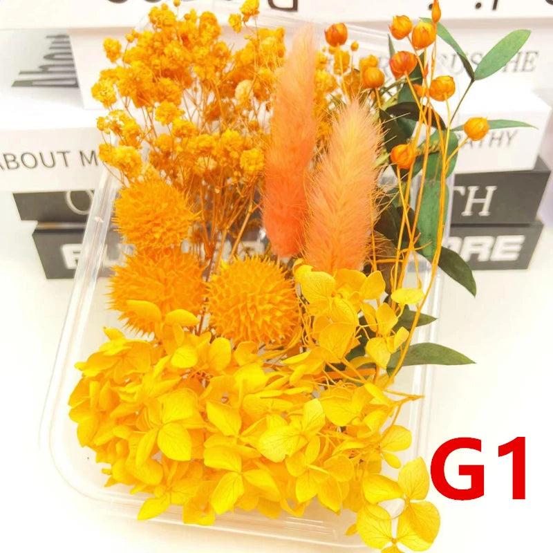 Natural Dried Flowers for Candles Mold Epoxy Resin Crafts