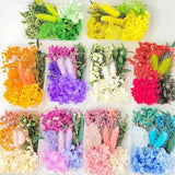 Natural Dried Flowers for Candles Mold Epoxy Resin Crafts