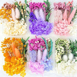 Natural Dried Flowers for Candles Mold Epoxy Resin Crafts