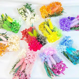 Natural Dried Flowers for Candles Mold Epoxy Resin Crafts