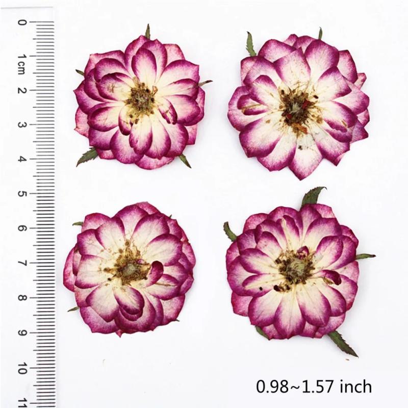 Dried Cherry Flower for DIY Art Craft Resin Candle Soap