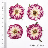Dried Cherry Flower for DIY Art Craft Resin Candle Soap
