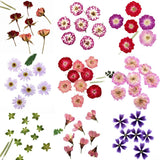 Dried Cherry Flower for DIY Art Craft Resin Candle Soap