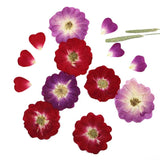 Dried Cherry Flower for DIY Art Craft Resin Candle Soap