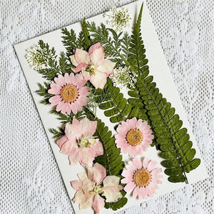 Dried Pressed Flower for DIY Crafts  Aromatherapy Candle Resin Nail Art
