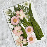 Dried Pressed Flower for DIY Crafts  Aromatherapy Candle Resin Nail Art