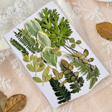 Dried Pressed Flower for DIY Crafts  Aromatherapy Candle Resin Nail Art