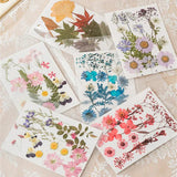 Dried Pressed Flower for DIY Crafts  Aromatherapy Candle Resin Nail Art