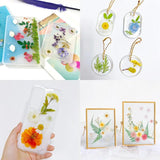 Dried Pressed Flower for DIY Crafts  Aromatherapy Candle Resin Nail Art