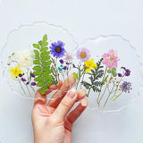 Dried Pressed Flower for DIY Crafts  Aromatherapy Candle Resin Nail Art