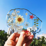 Dried Pressed Flower for DIY Crafts  Aromatherapy Candle Resin Nail Art