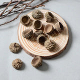 20pcs Natural Dried Flowers Nuts Acorns Eternal Flower Wedding Party Home DIY