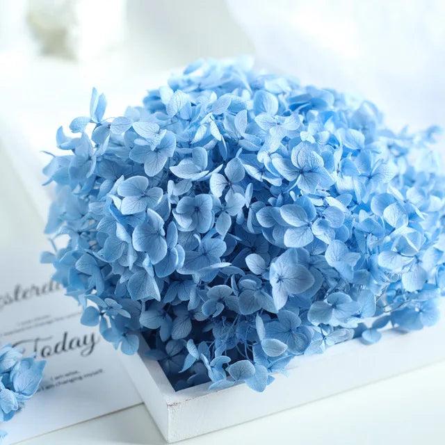 15g Hydrangea Dried Flowers Craft DIY Wedding Centerpieces