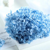 15g Hydrangea Dried Flowers Craft DIY Wedding Centerpieces