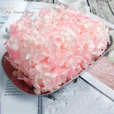 15g Hydrangea Dried Flowers Craft DIY Wedding Centerpieces